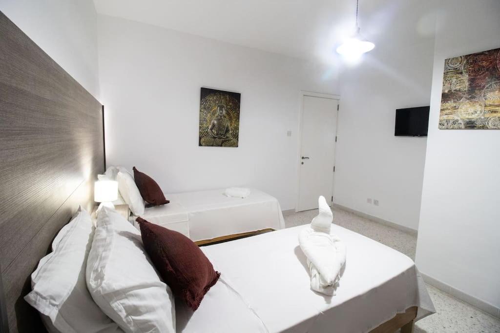Brant * Sliema